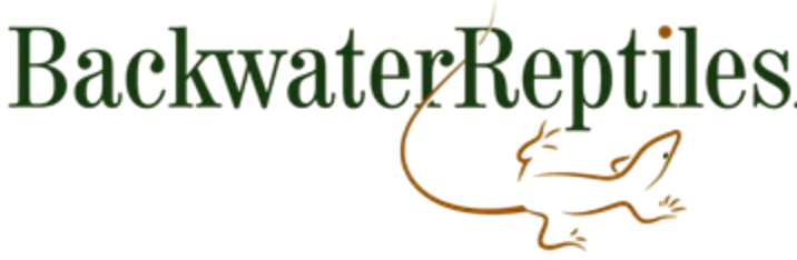 Backwater Reptiles 